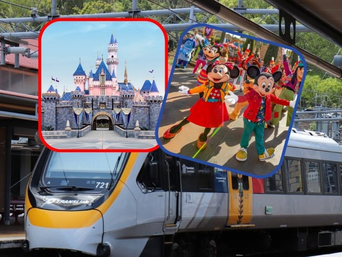 LE PARLEMENT MICKEY MOUSE ?  Le train a emmené les députés à la mauvaise gare de Disneyland